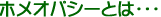 zIpV[Ƃ