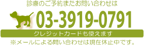 診療のご予約またお問い合わせは03-3919-0791