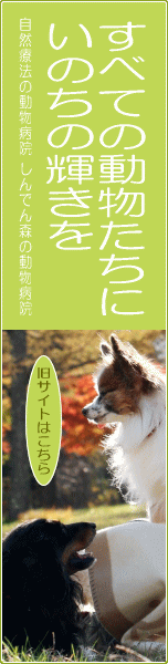 すべての動物たちにいのちの輝きを　自然療法の動物病院　しんでん森の動物病院　旧サイトはこちら