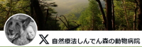 自然療法しんでん森の動物病院twitter